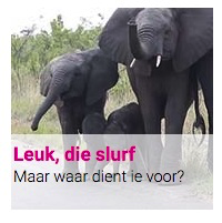 Leuk, die slurf : Maar waar dient ie voor?