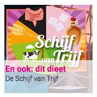 En ook: dit dieet : De Schijf van Trijf