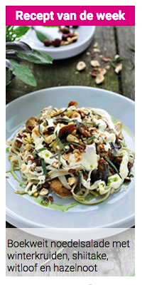 Recept van de week : Boekweit noedelsalade met winterkruiden, shiitake, witloof en hazelnoot