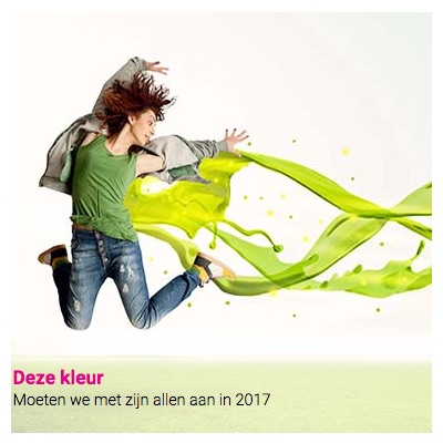 Deze kleur : Moeten we met zijn allen aan in 2017